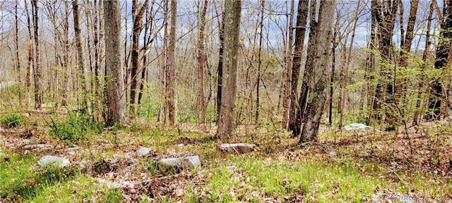 51 Quinns Hill Rd, Killingly, CT 06241