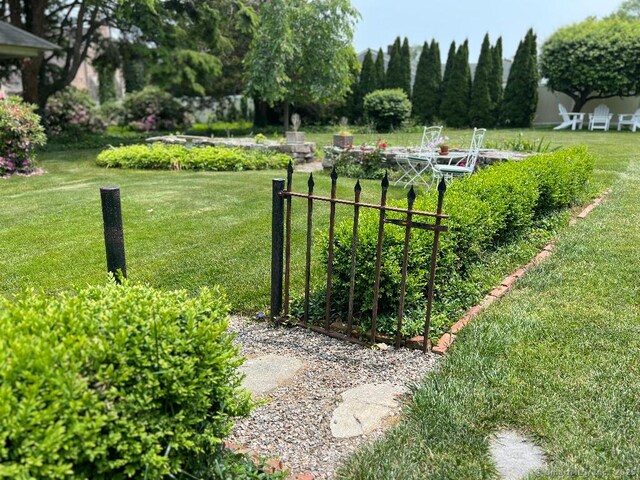 view of grassy yard
