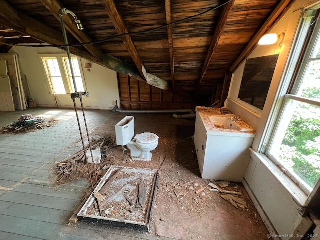 unfinished attic featuring plenty of natural light