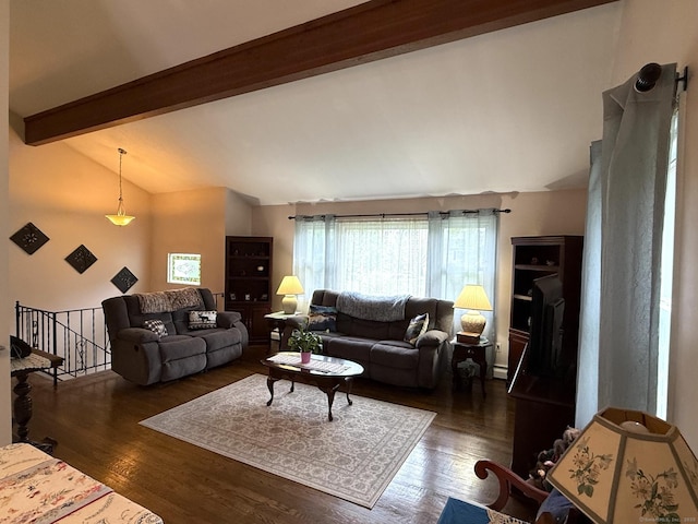 living room featuring wood finished floors and a baseboard heating unit