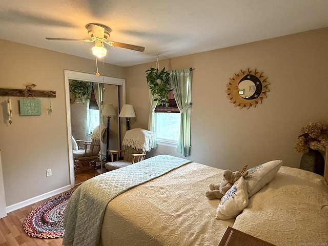 bedroom featuring multiple windows, wood finished floors, baseboards, and a closet