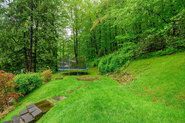 view of green lawn with a trampoline
