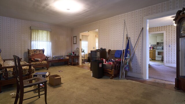 4 Linnell St, Plainfield, CT 06354 - photo 4
