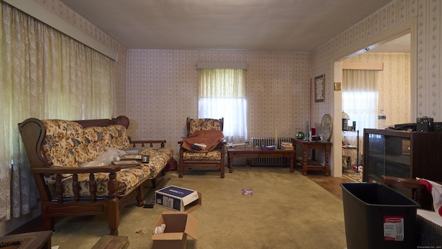 4 Linnell St, Plainfield, CT 06354 - photo 6