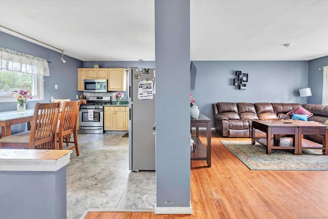 2 Chestnut Ct, Seymour, CT 06483 - view of living area