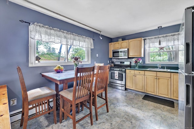 2 Chestnut Ct, Seymour, CT 06483 - kitchen featuring stainless steel appliances, light brown cabinetry, healthy amount of natural light, and a sink