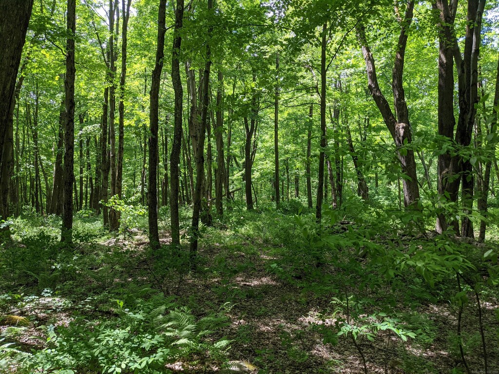 00 Old Homestead Ln, Kent, CT 06785 - photo 1