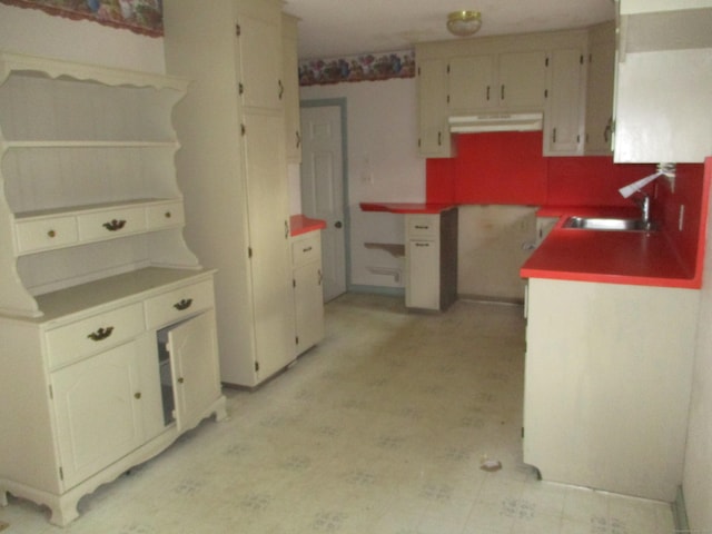 kitchen featuring a sink and under cabinet range hood