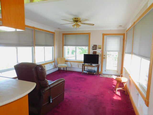 29 Barholm Ave, Stamford, CT 06907 - carpeted living room with a ceiling fan, baseboards, baseboard heating, and ornamental molding
