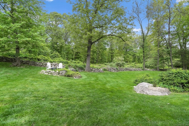 9 Cindy Ln, Norwalk, CT 06851 - view of green lawn