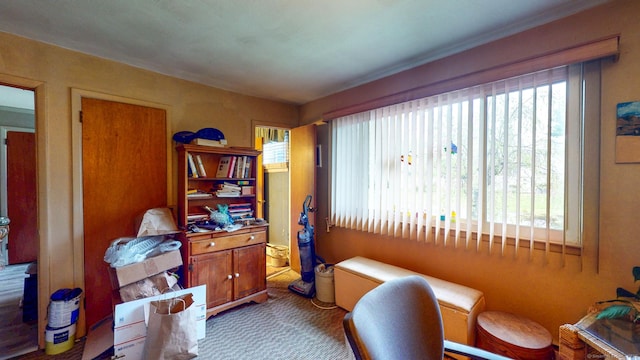 office featuring carpet flooring