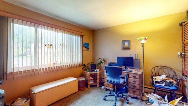 office area featuring healthy amount of natural light and carpet floors