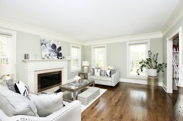 56 Grouse Ln, Woodbridge, CT 06525 - living room with crown molding, wood finished floors, a glass covered fireplace, and baseboards