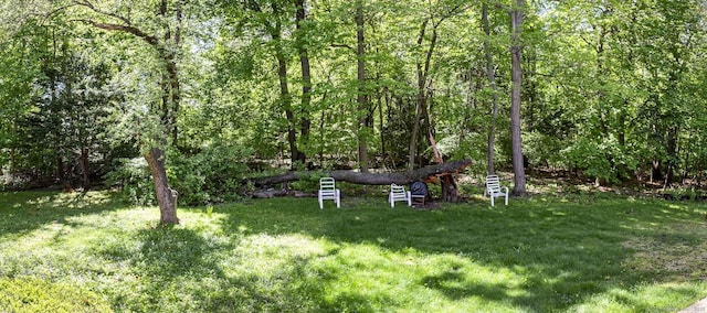 view of green lawn with a wooded view