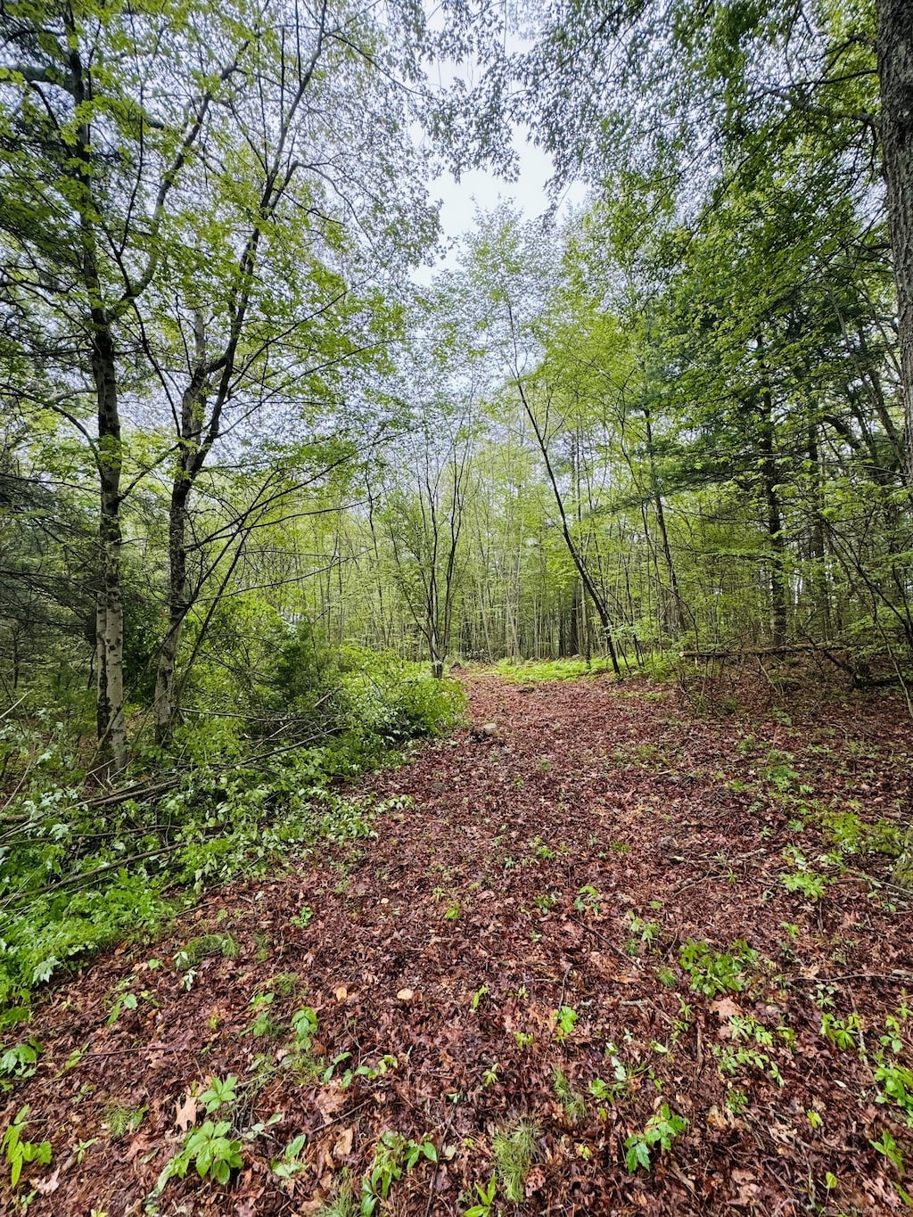 18 Ledge Hill Rd, Sterling, CT 06377