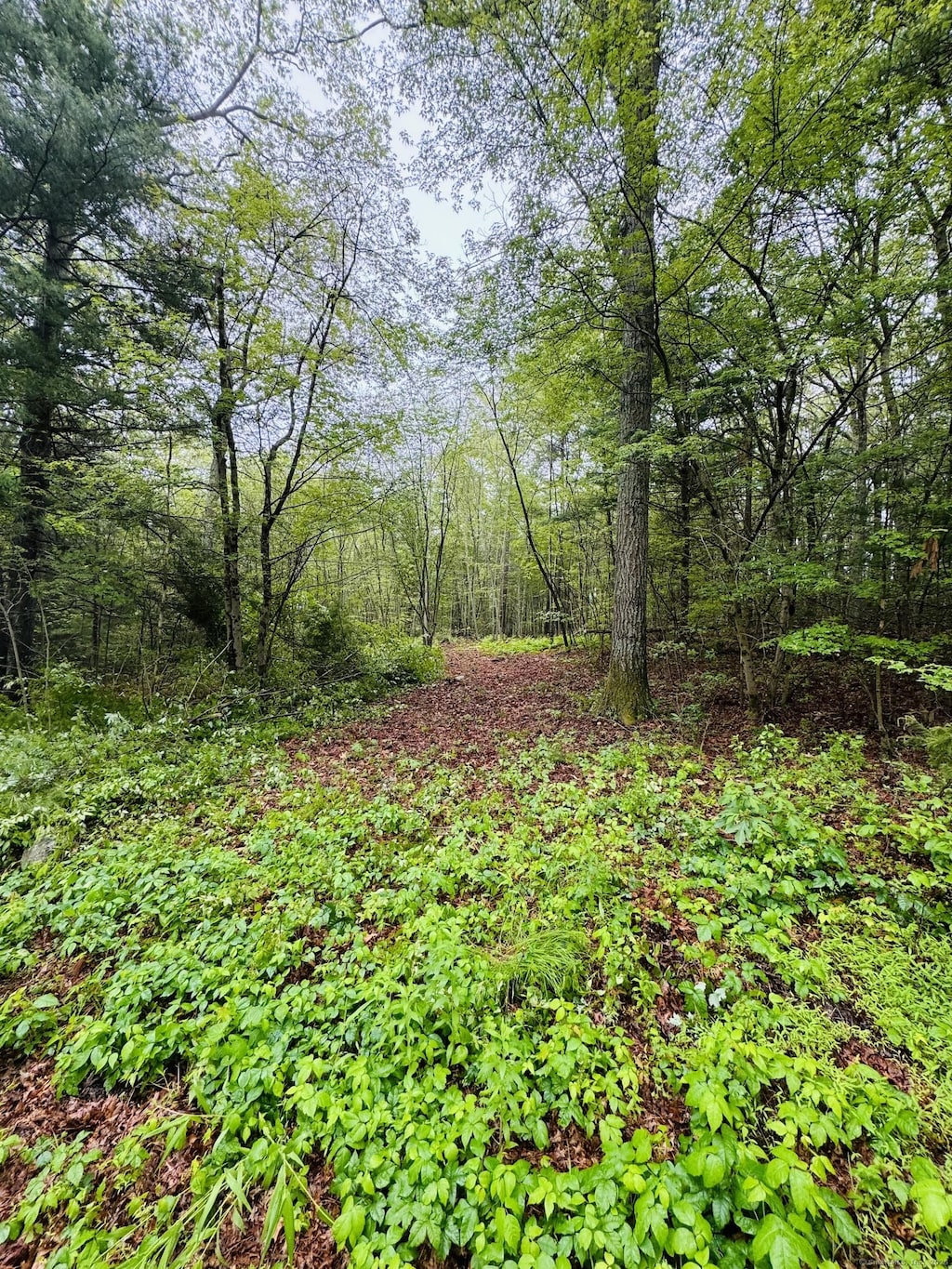 18 Ledge Hill Rd, Sterling, CT 06377