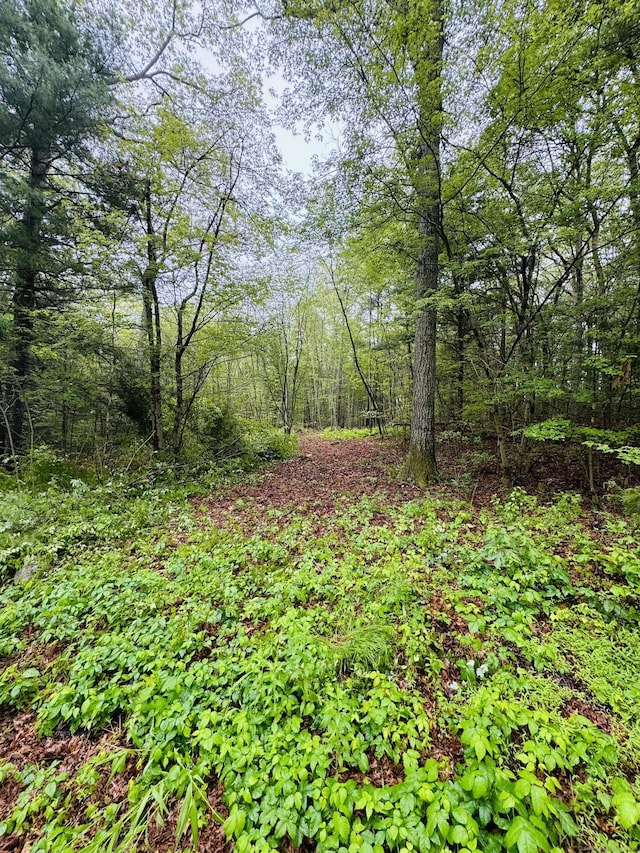 18 Ledge Hill Rd, Sterling, CT 06377