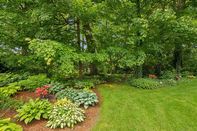 8 Cottonwood Ct Unit 8, Granby, CT 06035 - view of yard