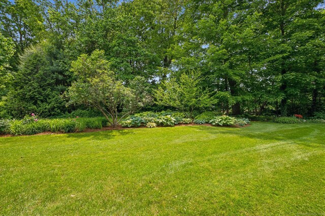 8 Cottonwood Ct Unit 8, Granby, CT 06035 - view of grassy yard