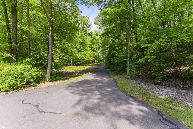 74R Green Ln, Durham, CT 06422 - view of street with a forest view
