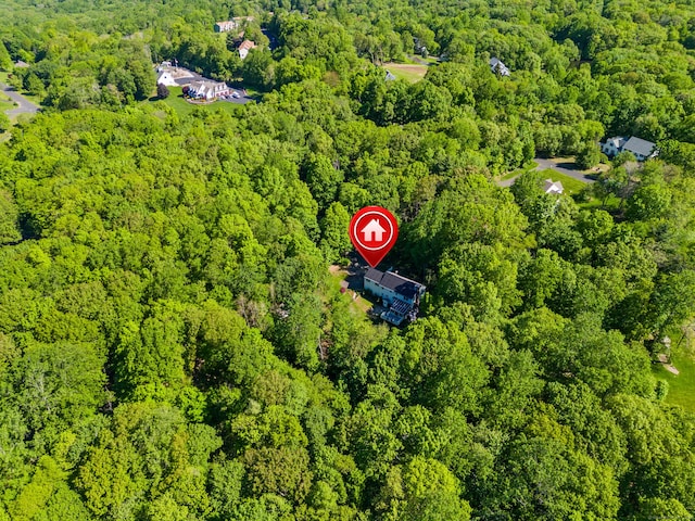 74R Green Ln, Durham, CT 06422 - aerial view of a heavily wooded area