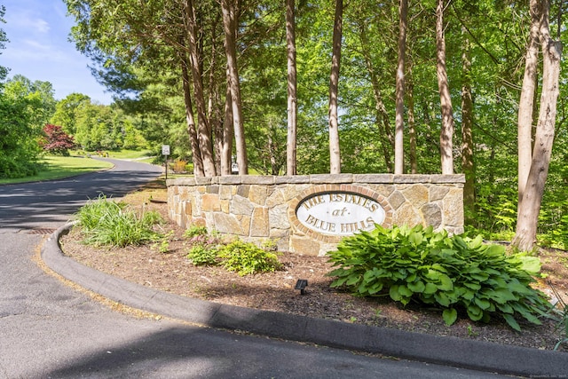 74R Green Ln, Durham, CT 06422 - view of community sign