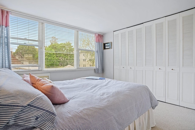 15 Ellsworth St Apt 22, Bridgeport, CT 06605 - bedroom featuring carpet and a closet