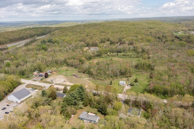 36 Plainfield Pike, Plainfield, CT 06374 - photo 4