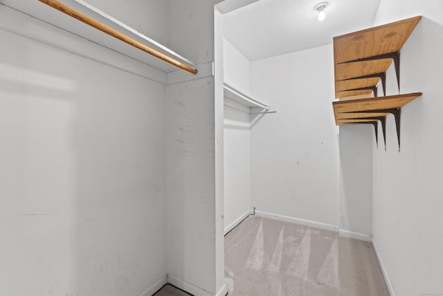 281 Gardner Ave Unit G5, New London, CT 06320 - walk in closet featuring carpet