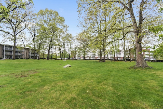281 Gardner Ave Unit G5, New London, CT 06320 - view of grassy yard