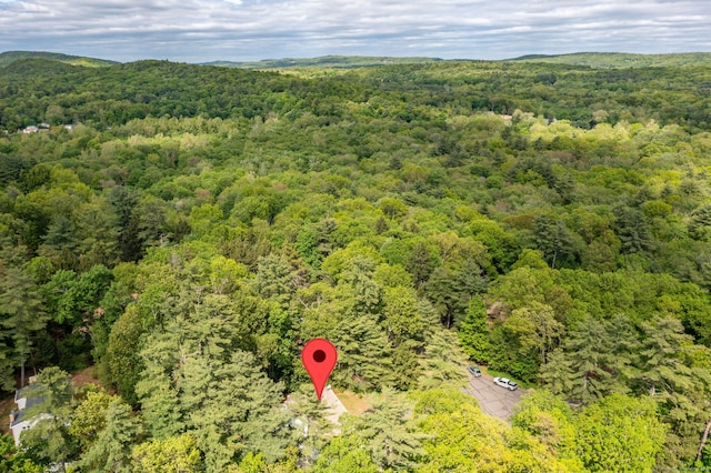 19 High Ridge Dr, Granby, CT 06035 - photo 40