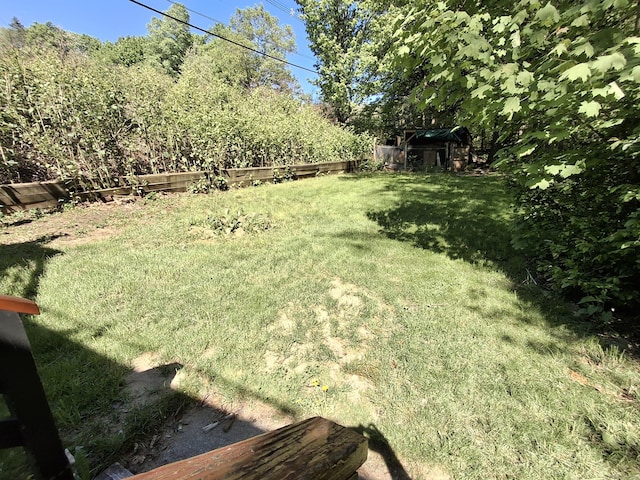 view of yard