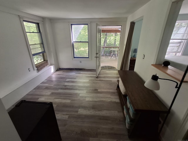 dining area with wood finished floors