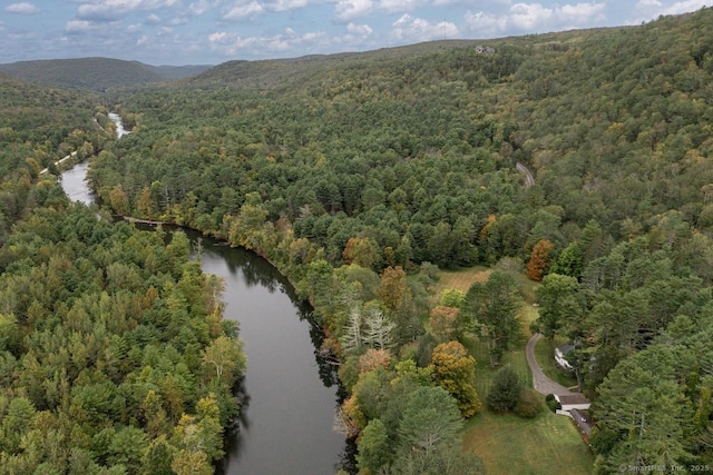 21 Rte 7, Salisbury, CT 06796 - aerial view of property and surrounding area featuring a heavily wooded area and a water and mountain view