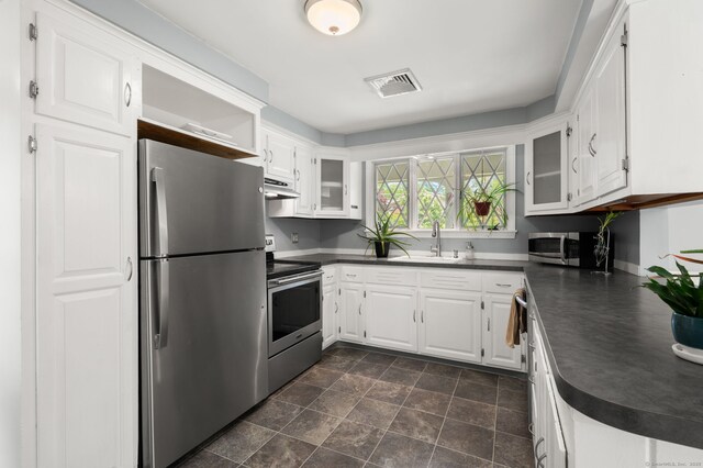 kitchen with appliances with stainless steel finishes, dark countertops, a sink, and under cabinet range hood