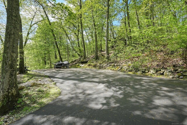 25 Fleetwood Dr, New Fairfield, CT 06812 - view of road with a view of trees