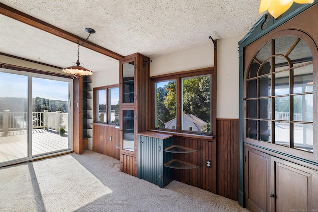 16 Hill Rd, East Lyme, CT 06333 - home office with carpet floors, a textured ceiling, a wainscoted wall, and wooden walls