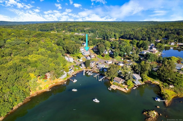 16 Hill Rd, East Lyme, CT 06333 - view of property location featuring a forest and a nearby body of water