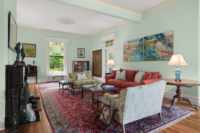 13 Sugar St, Newtown, CT 06470 - living room featuring radiator heating unit, crown molding, wood finished floors, and baseboards