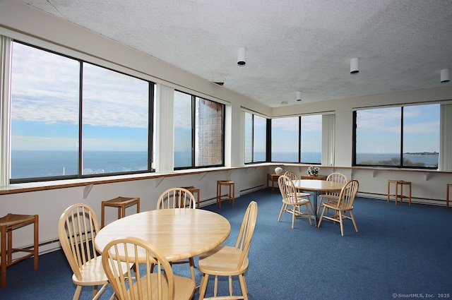 140 Captain Thomas Blvd Unit 307, West Haven, CT 06516 - carpeted dining space featuring a textured ceiling and baseboard heating