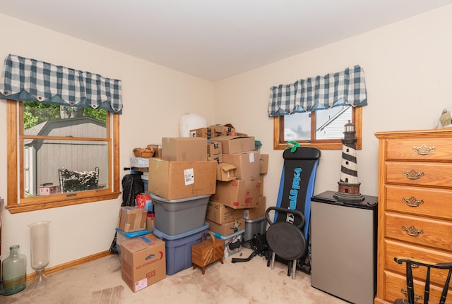 21 Bethpage Dr, Bethel, CT 06801 - view of storage