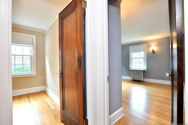 16 Ridgewood Rd, Windsor, CT 06095 - hall featuring crown molding, radiator, light wood-type flooring, and plenty of natural light