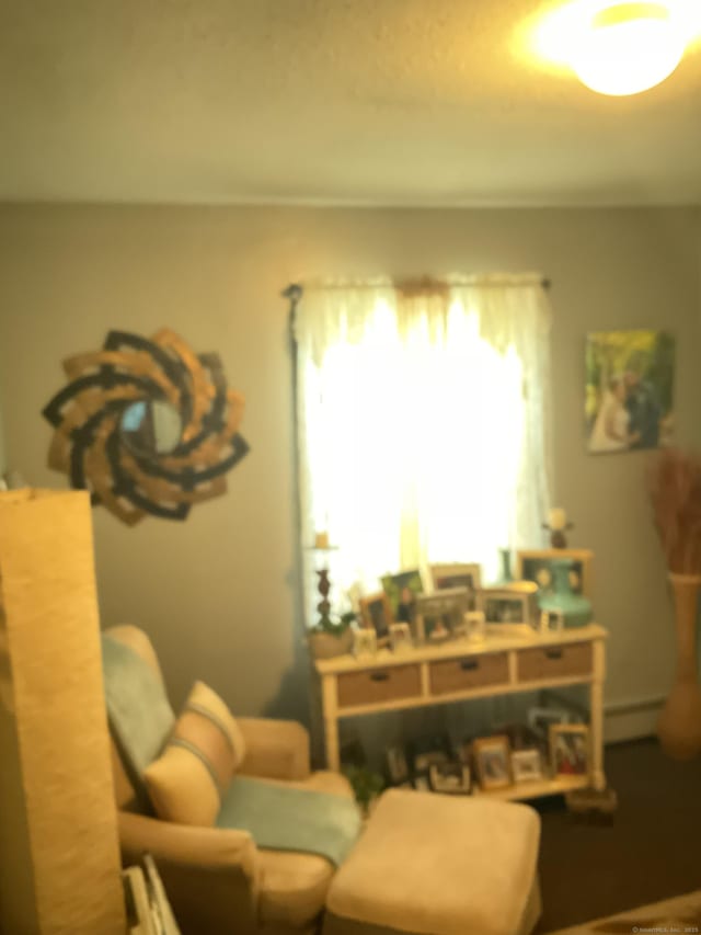 45 Ludlow St, Waterbury, CT 06710 - living area featuring a baseboard heating unit