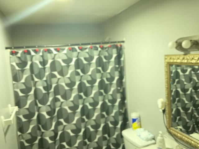 45 Ludlow St, Waterbury, CT 06710 - full bathroom featuring curtained shower