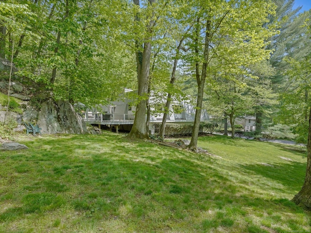 20 Mountain Wood Rd, Stamford, CT 06903 - view of green lawn featuring a wooden deck