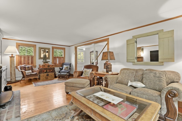 living area featuring light wood-style floors and ornamental molding