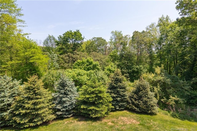 2 Crestview Dr Unit 2, Middlefield, CT 06481 - view of wooded area