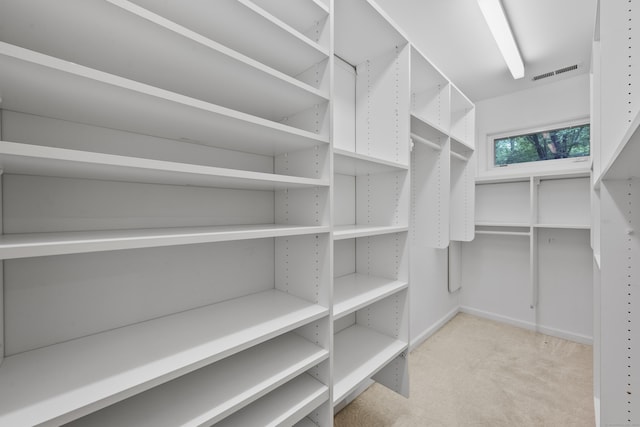 65 Macarthur Ln Apt 6, Stamford, CT 06902 - walk in closet with carpet floors