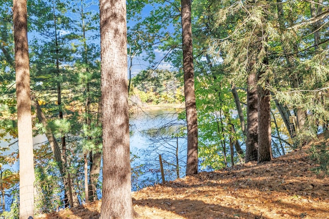 42 N Lake Dr Apt C2, Hamden, CT 06517 - water view