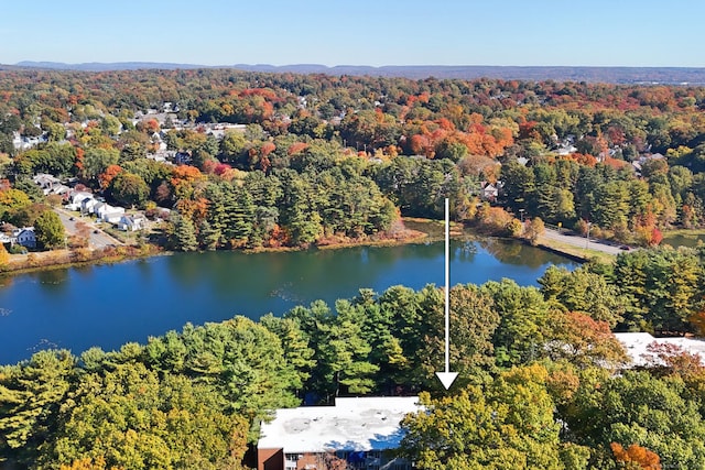 42 N Lake Dr Apt C2, Hamden, CT 06517 - bird's eye view of a forest and a nearby body of water